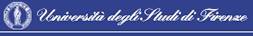 UNIVERSTITÀ DEGLI STUDI DI FIRENZE